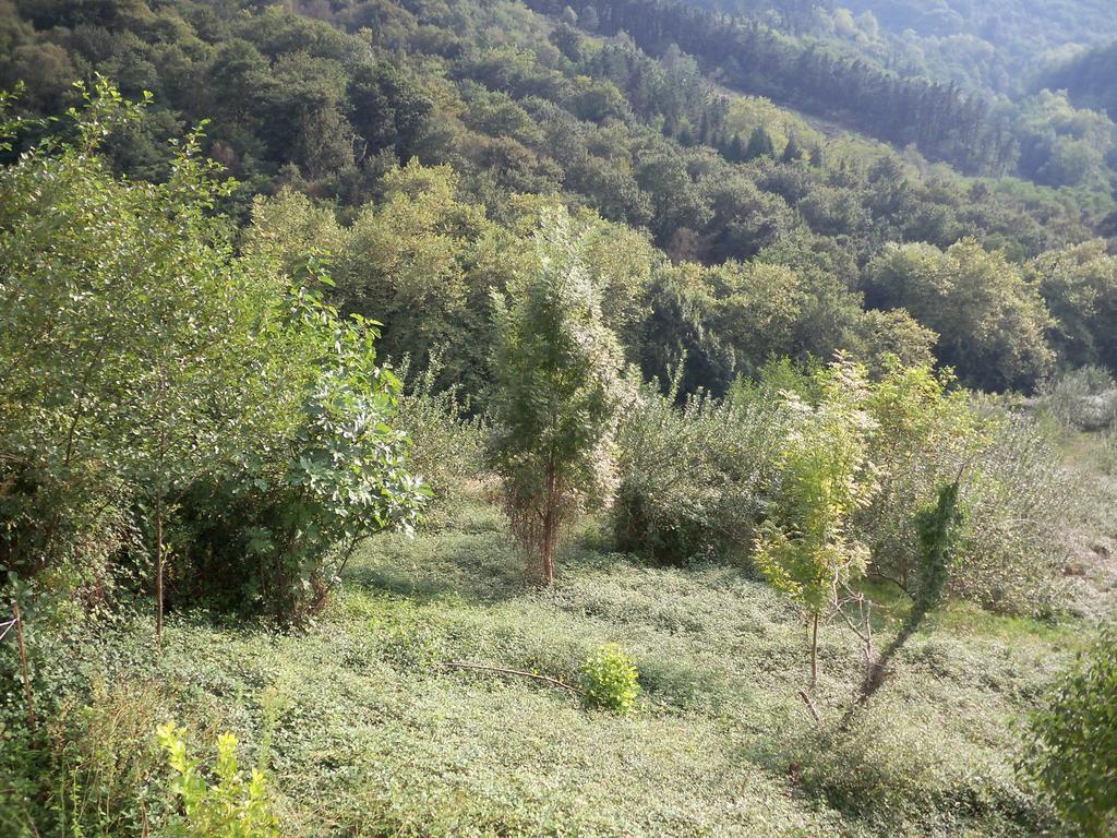 Pardiola Baserria Hernani Εξωτερικό φωτογραφία